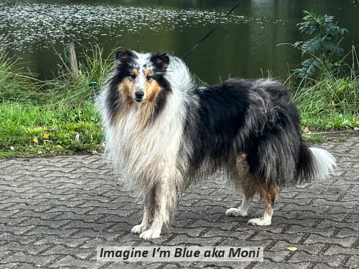 Imagine I‘m Blue aka Moni (3)